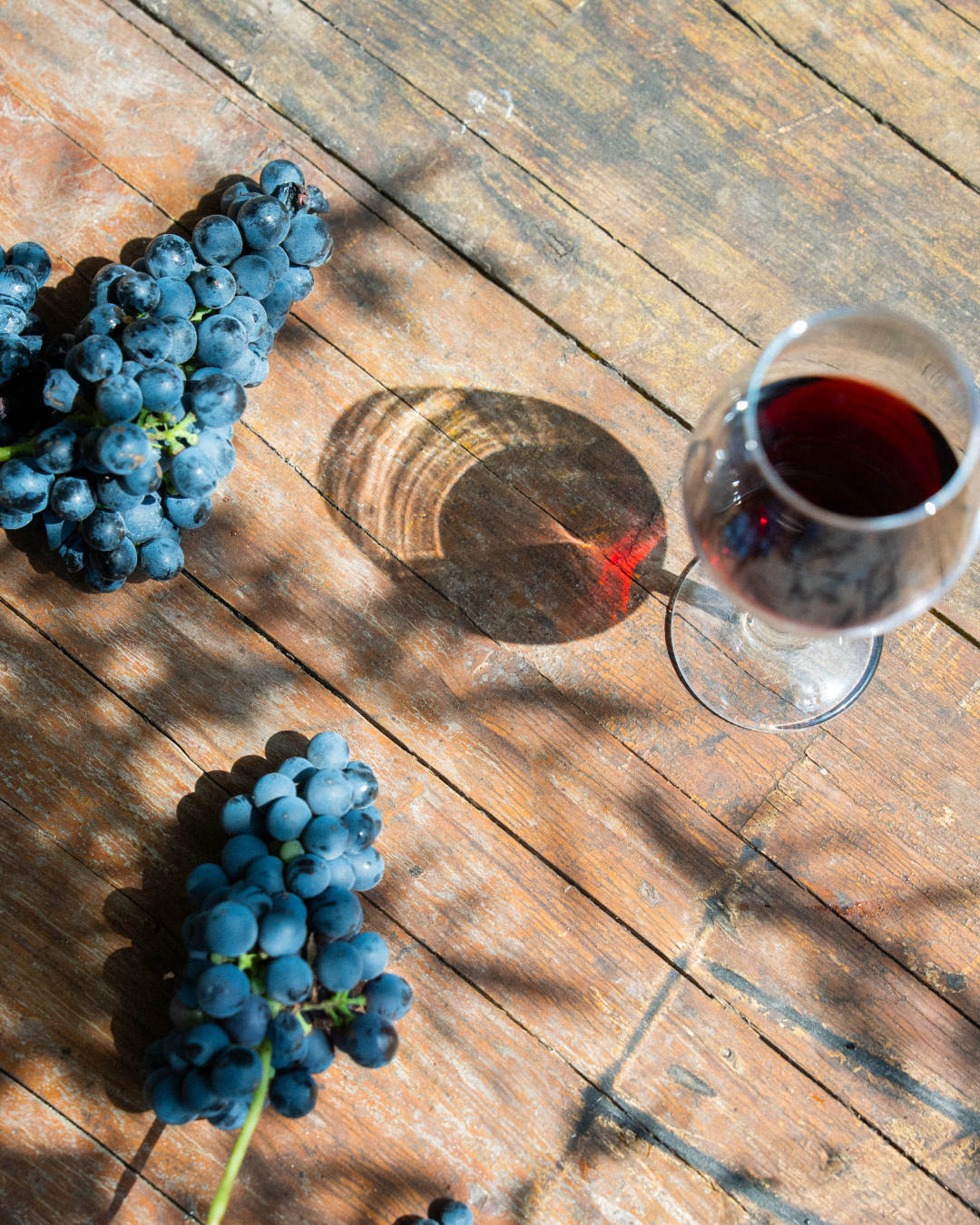 Calice di vino