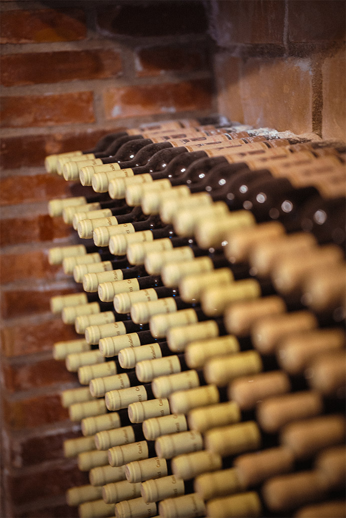 Cantina Casa Scalecci